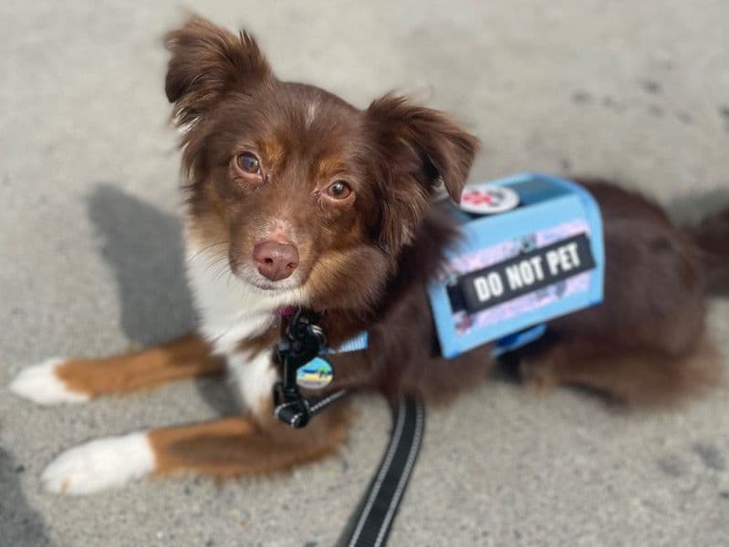 Shadow primary photo