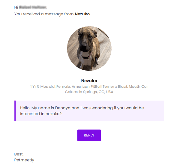 petmeetly-signup