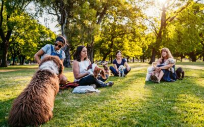 The Importance of Socializing Your Pet: A Comprehensive Guide