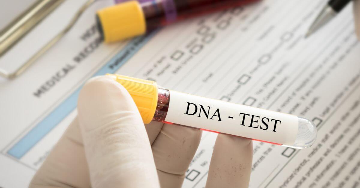 DNA Testing For Dog