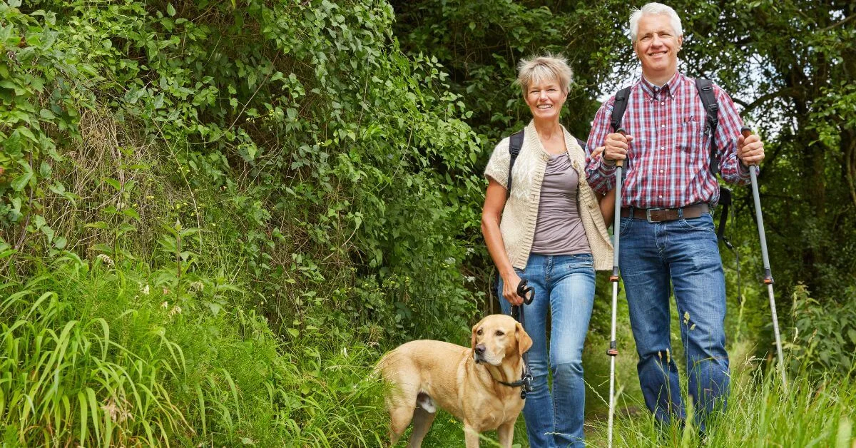 Paws-itively Awesome Trails: Hiking with Your Dog in California