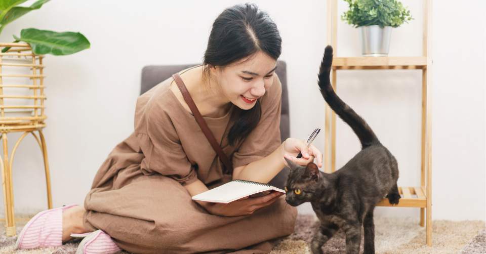 Debunking Harmful Stereotypes About Cat Owners: The Facts You Need to Know
