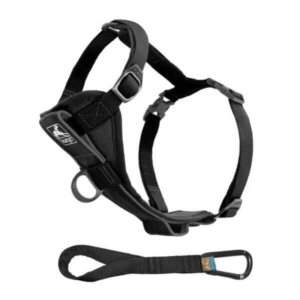 Kurgo Tru-Fit Smart Harness-petmeetly.com