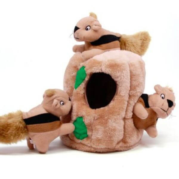 Outward Hound Hide-A-Squirrel Puzzle Toy-petmeetly.com