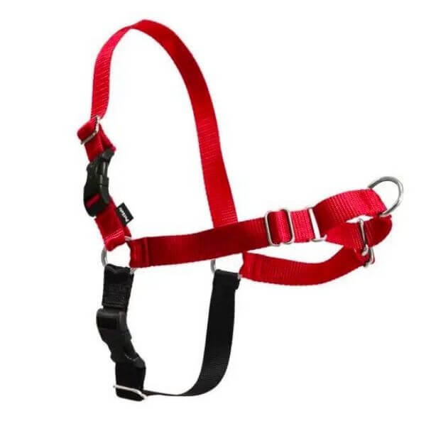 PetSafe Easy Walk Dog Harness-petmeetly.com