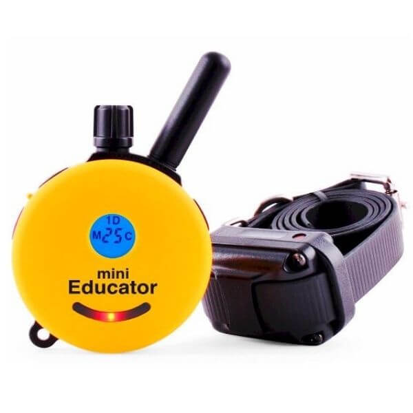 Educator E-Collar Remote Dog Training Collar-petmeetly.com