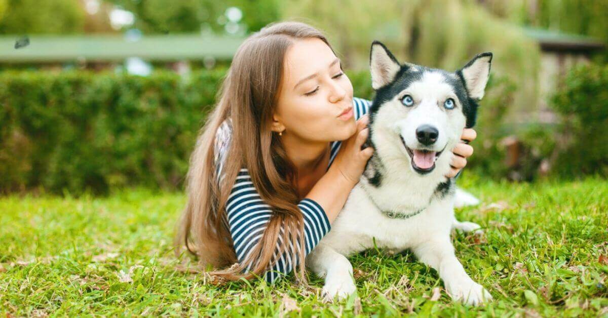 5 Important Things to Know Before Adopting a Siberian Husky