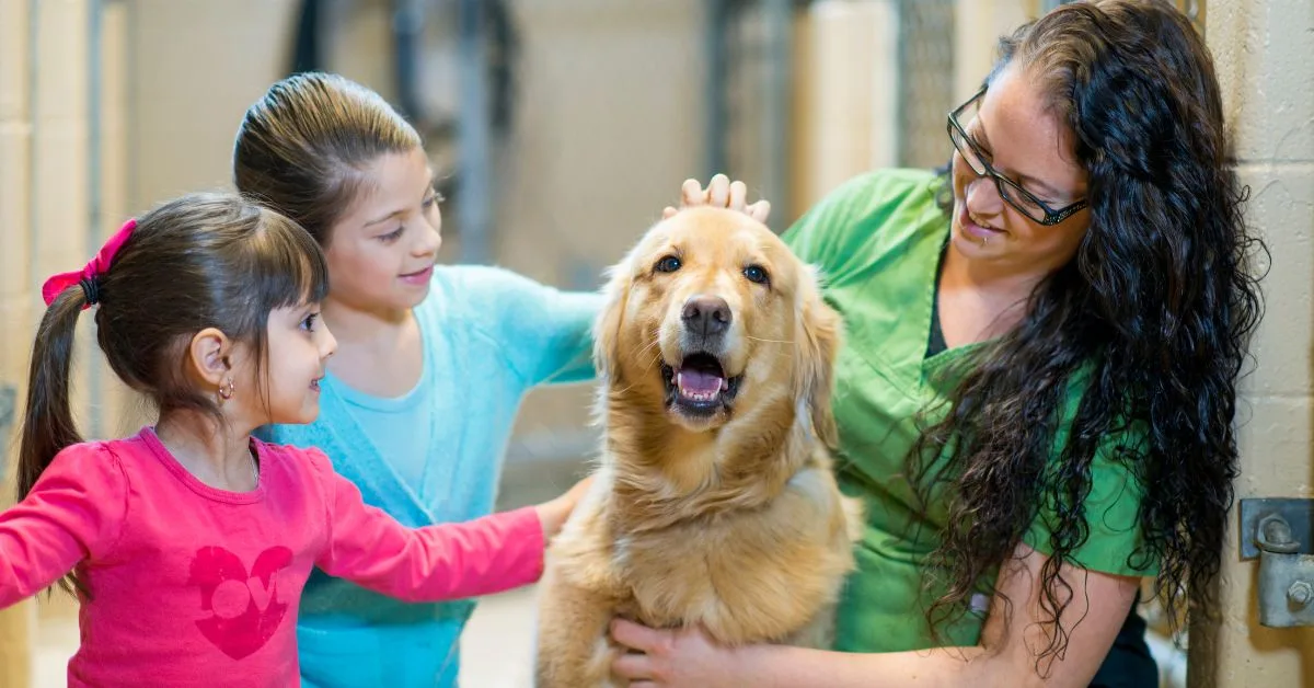 15 Essential Considerations Before Adopting a Dog