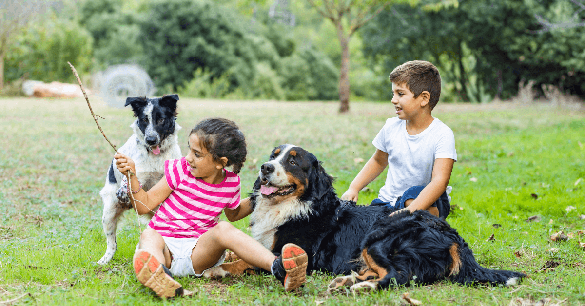 Top 10 Best Dog Breeds for Kids in 2024