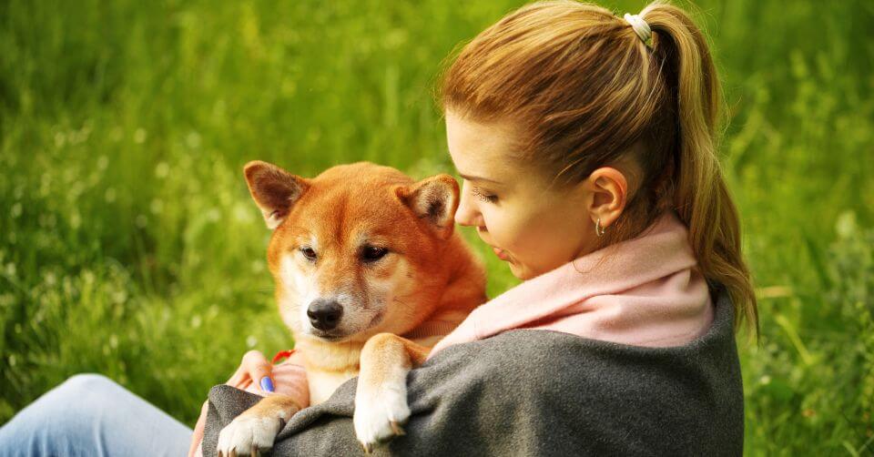 The Secret to a Long and Happy Life: Maximizing Your Shiba Inu’s Lifespan